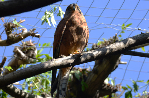 World of Birds Wildlife Sanctuary.